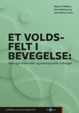 Et voldsfelt i bevegelse: Rettslige virkemidler og institusjonelle ordninger